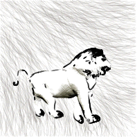 Gif animé lion de dos